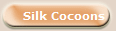  Silk Cocoons