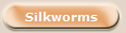  Silkworms