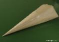 taping the cone distaff | Wild Fibres natural fibres