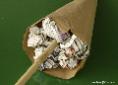 filling the cone distaff | Wild Fibres natural fibres