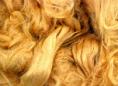 Natural fibre plants - regenerated fibres - soybean & bamboo | Wild Fibres natural fibres
