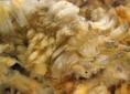Ryeland sheep fleece