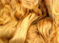 Soybean fibre